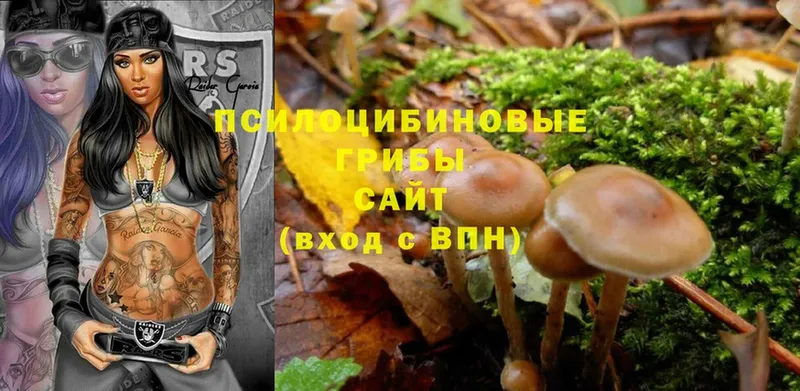 закладки  omg ссылки  Галлюциногенные грибы Psilocybe  Белореченск 